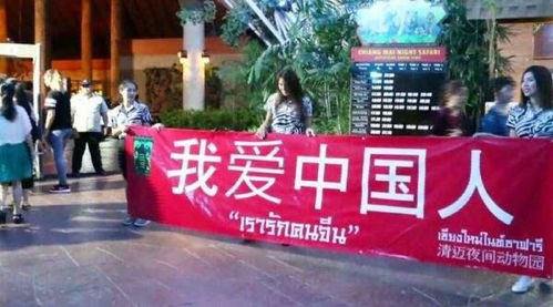 中国赴泰旅游不降反增_【最新消息！近日中国赴泰旅游游客不降反升？】