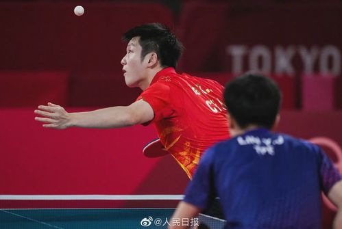 樊振东年纪_袁心玥比樊振东大几岁