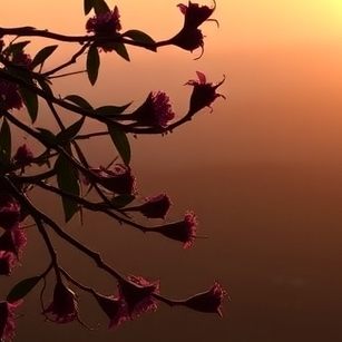 精选语句集锦的句子(图1)